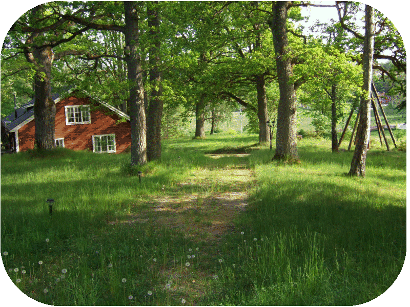 Skö natur